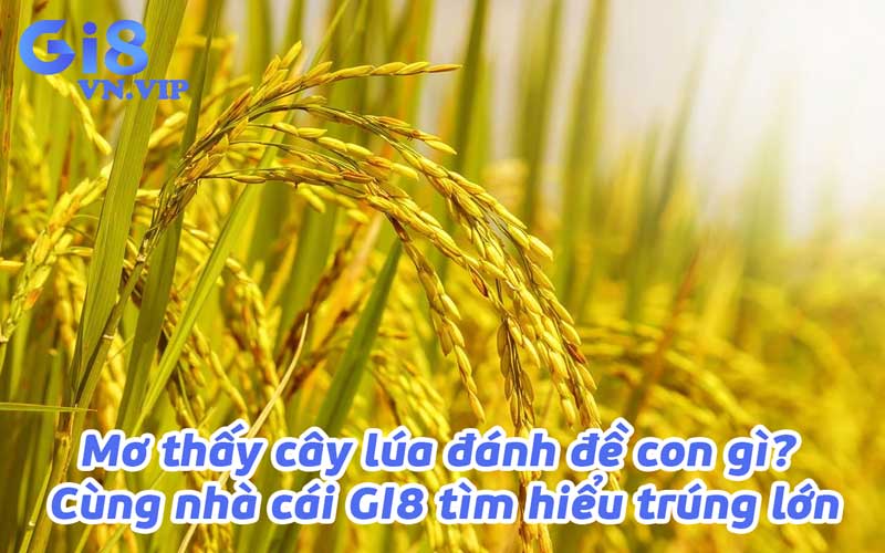 Mơ thấy cây lúa đánh đề con gì? Cùng nhà cái GI8 tìm hiểu trúng lớn